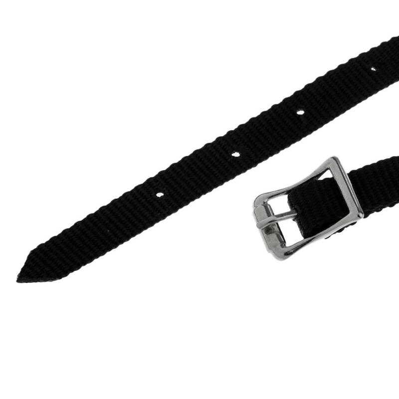 Cinturini per speroni inglesi ispessiti con fibbia in lega accessori da equitazione