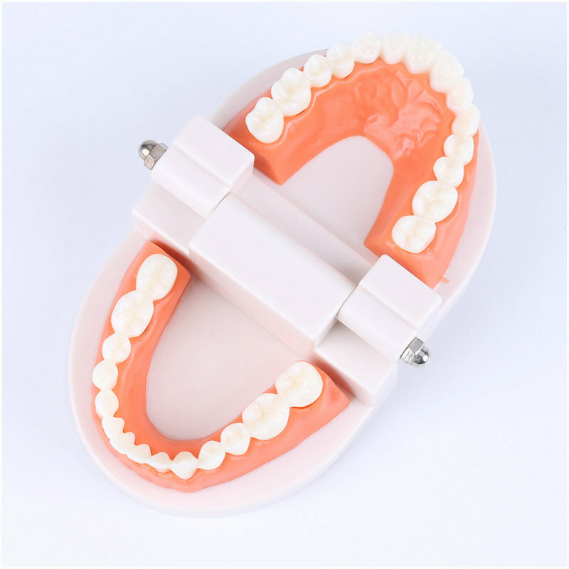 Montessori Educational Toys for Children Early Learning Kids Intelligence Brushing Tooth Teaching Aids Simulated Practical Life