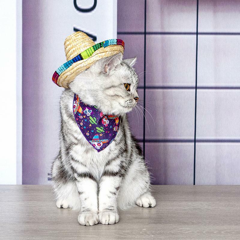 Chapeau pour petit chien Sombrero, fait à la main à partir de tissus naturels et de paille, chapeau de fête mexicaine pour enfants, fête d'anniversaire, partie de carnaval