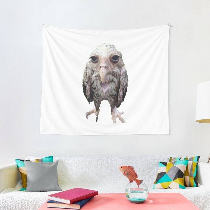 Molhado coruja meme tapeçaria quartos decorações decoração estética