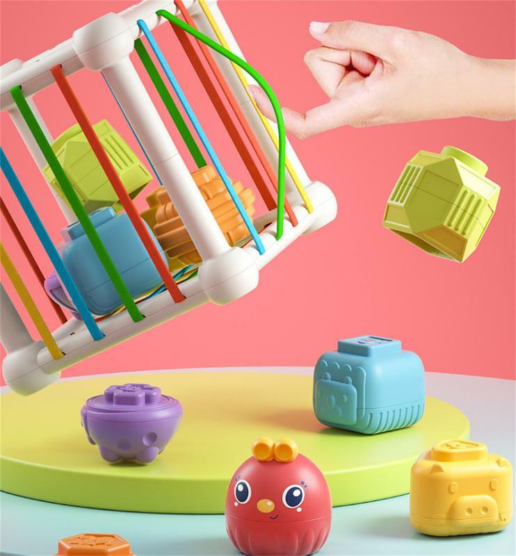 Brinquedo Texturizado Colorido Para Bebê, Jogos Montessori, Atividade de Aprendizagem, Habilidades Motoras Finas, Reconhecimento de Cores, Earl
