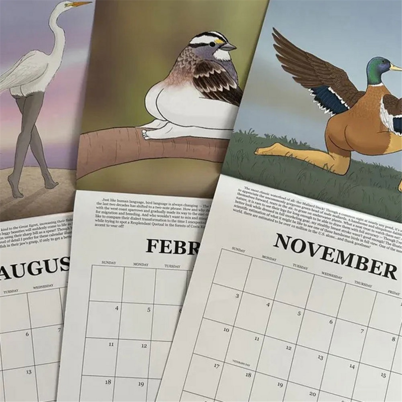 2024 Calendar of Extremely Accurate Birds 2024 Bird Calendar-21x21cm