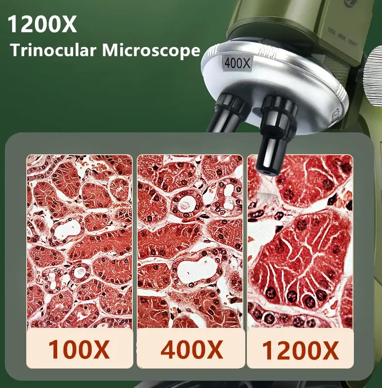 실험실 LED 현미경 키트, 100X-400X-1200X 생물 현미경, 가정 학교 과학 교육 장난감, 어린이 선물
