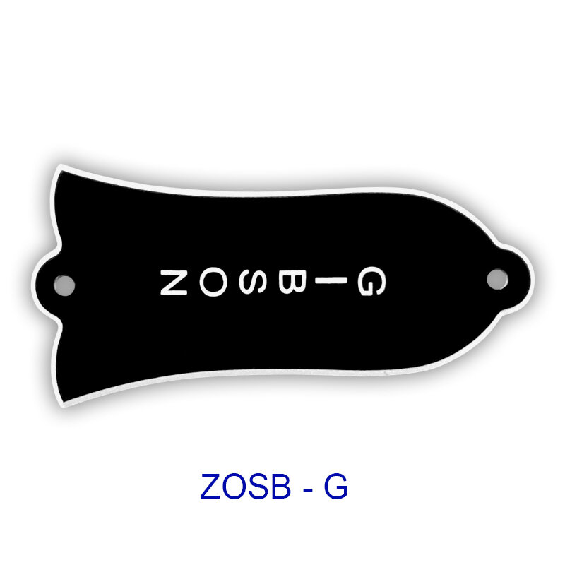 Placa de cubierta de varilla de braguero de guitarra eléctrica, estándar LP, personalizado, 2 agujeros