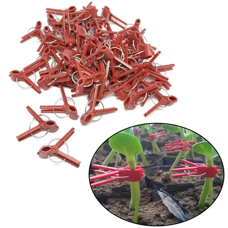 50 buah klip cangkok tanaman alat berkebun plastik untuk semangka terong mulut bulat mulut datar penjepit anti-jatuh