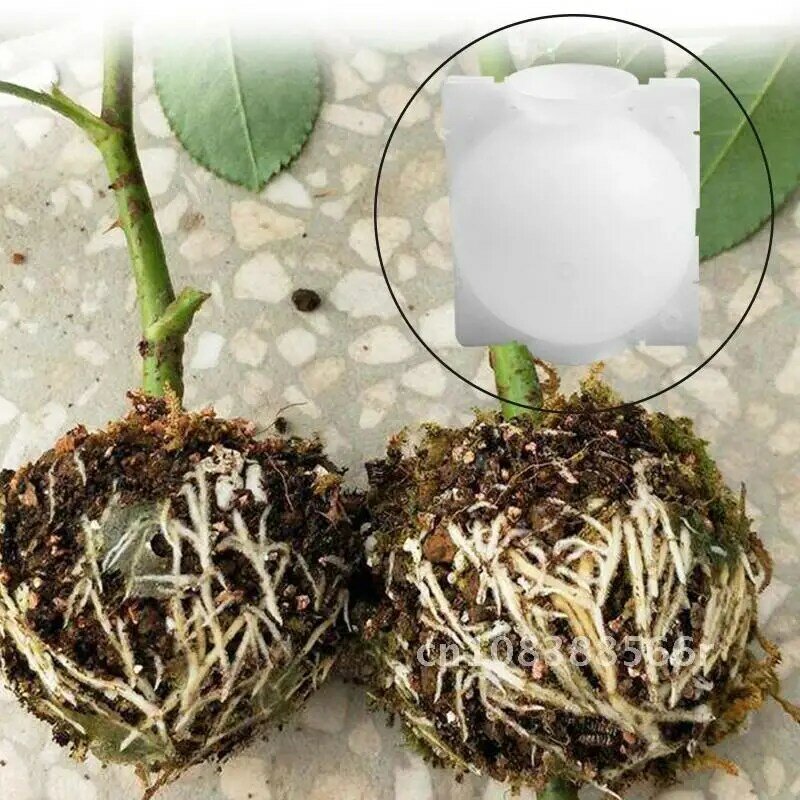 植物根成長ボックス,光沢のあるフローティングボール,植栽カバー,5個,直径8cm,5個