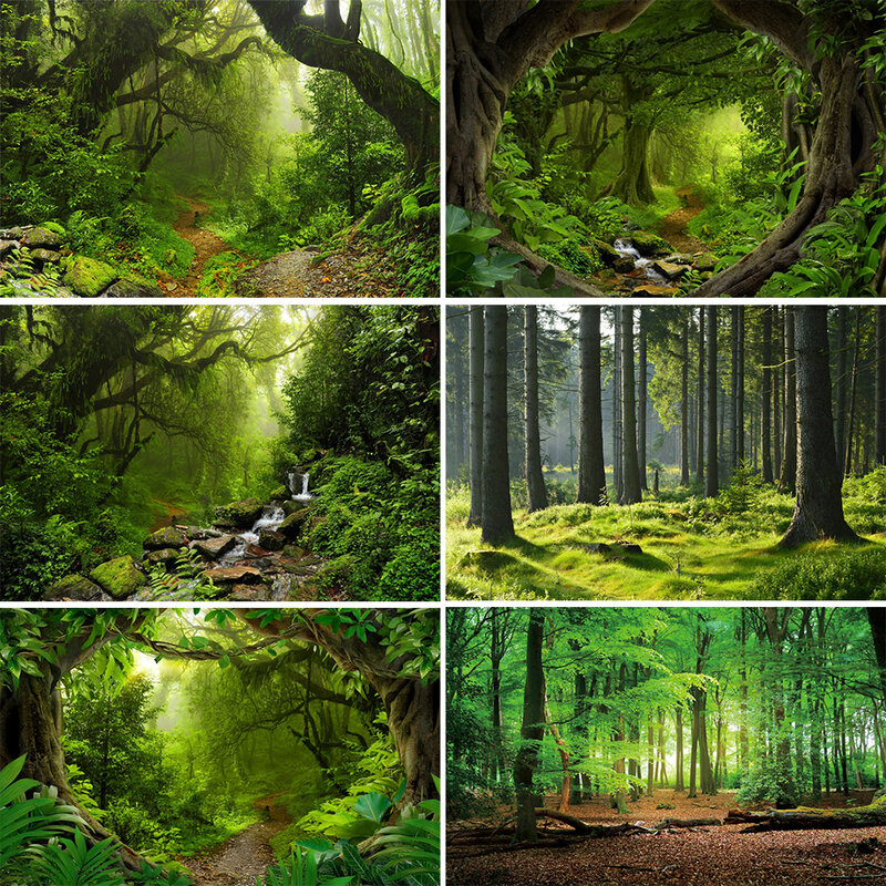 Forest Scenery Background Tropical Rainforest Natural Landscape Adult and Children's Portrait Photography Background Studio Prop