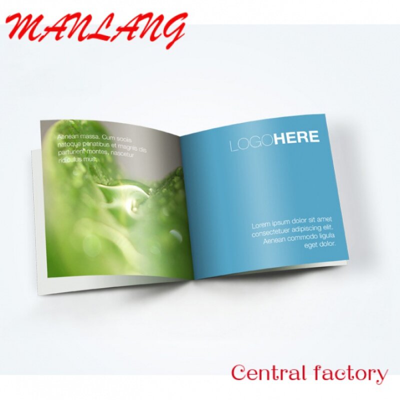 Высококачественная брошюра премиум-класса/Листовка/буклетная печать