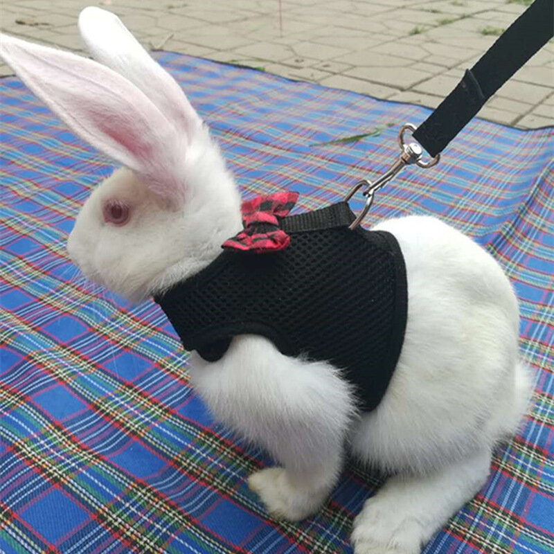 Imbracatura gilet criceto conigli caldi con guinzaglio coniglietto maglia pettorale imbracature furetto cavia piccoli animali accessori per animali domestici