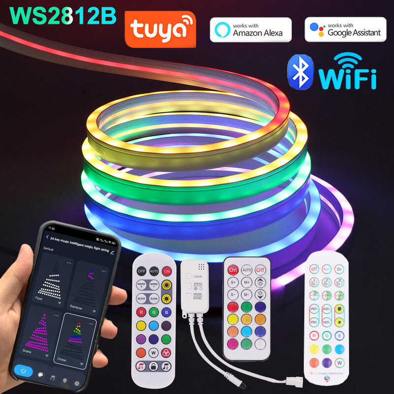 WS2812B LED 네온 스트립 조명, 투야, 와이파이, 블루투스 컨트롤, RGB 드림 컬러, 플렉스 실리콘 튜브 조명, 홈 TV 백라이트 장식