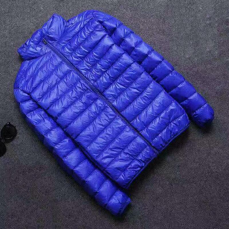 남성용 스탠드 칼라 코트, 세련된 겨울 다운 재킷, 슬림핏 스탠드 칼라, 지퍼 클로저, 따뜻한 캐주얼 아우터, 가을