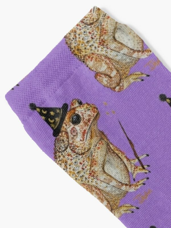 Toad Wizard Socks funny gift warm winter socks Socks For Girls Men's
