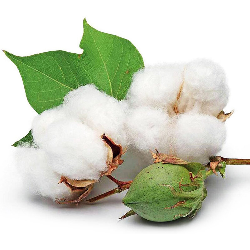 100Pcs Double Head Cotton Swabs Nose Ear Cleaning Cotton Sticks Emergency Survival Supplies