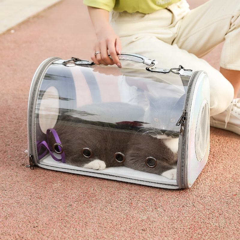 Cápsula transparente de viaje para mascotas, Transportín para perros y gatos, portátil, de gran capacidad, bolsa simple para gatos