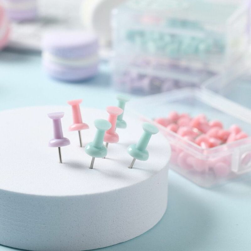 Chinchetas de plástico de Color Macaron, pasador de fijación colorido, pequeño tablero fresco, chinchetas de pulgar pequeñas