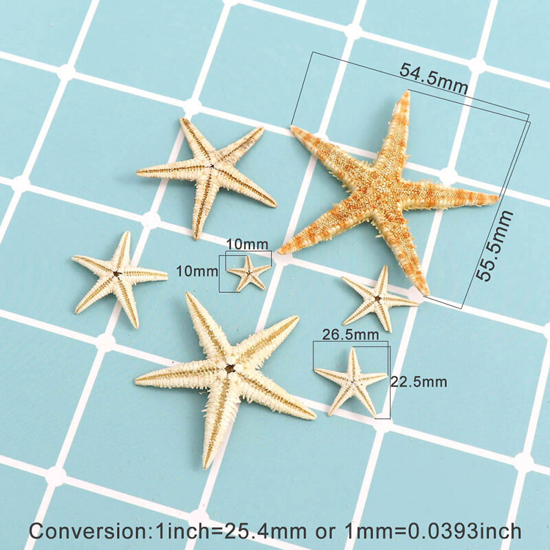 Naturalna rozgwiazda w pudełku Natuurlijke Zeester Seashell plażowe rzemiosło Natuurlijke Zee Sterren Diy Strand Bruiloft Decoratie Ambachten