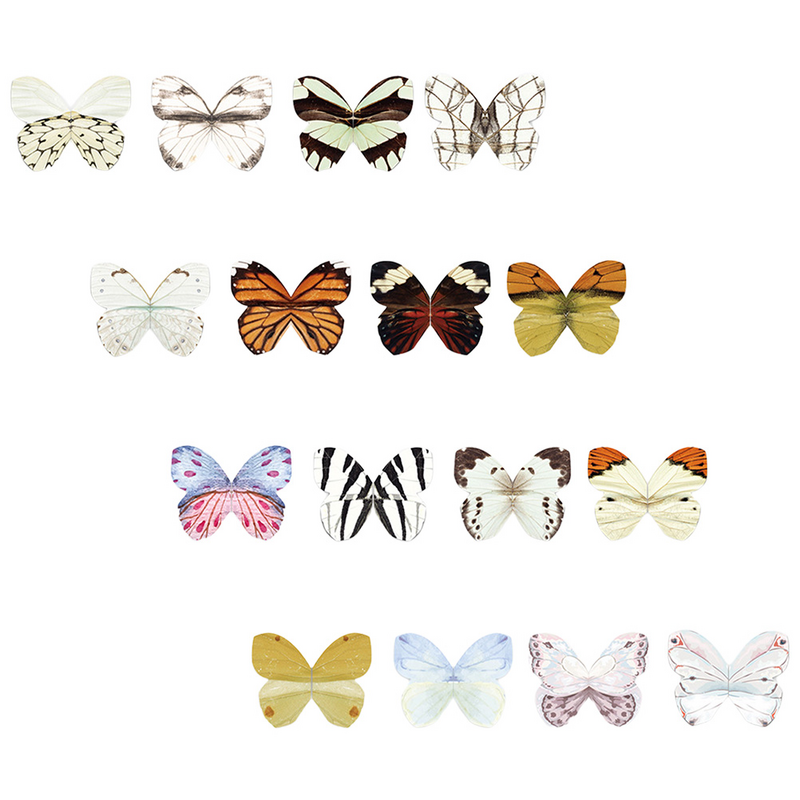 子供、ランドブックマーク、磁気ブックマーク、蝶の形をした蝶のしおり、16個
