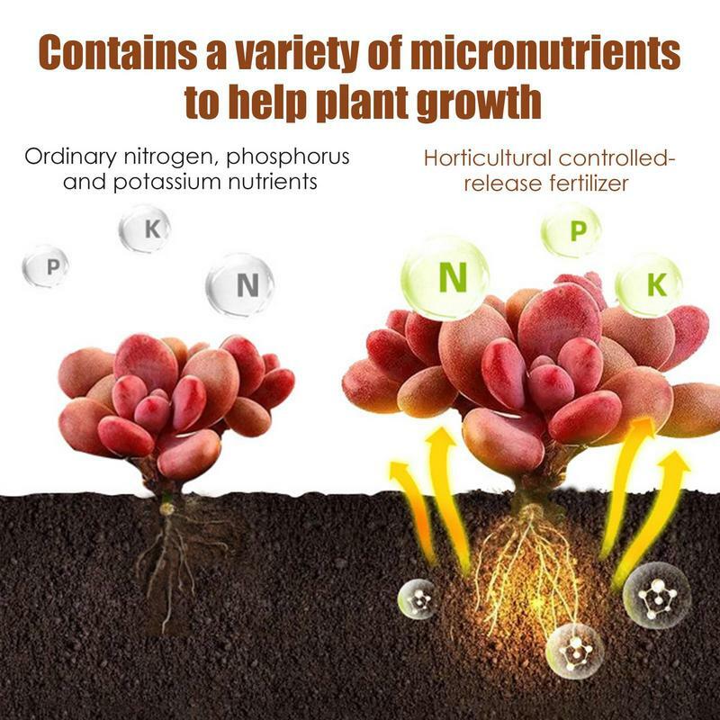 Fertilizante controlado especial para plantas suculentas, nutriente universal granulado para plantas em vasos, liberação lenta, 120 dias