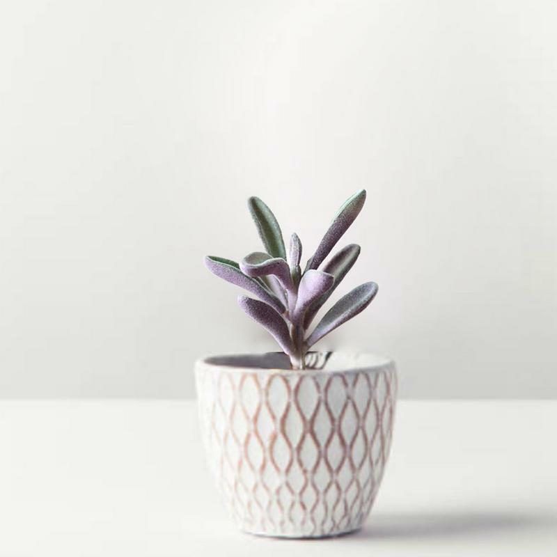 Mini plantas suculentas de imitación, suculentas con textura realista, para decoración del hogar y Escritorio
