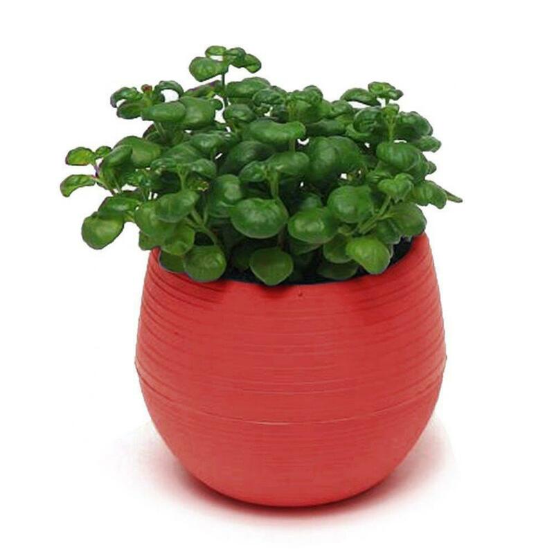 Double Layer Mini Flower Pot, Plantador Suculento, Plantas Verdes Bonitas, Home Desk, Decoração do jardim, Flowerpot preguiçoso