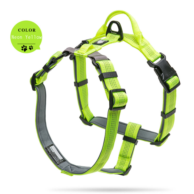 Truelove Pet Harness Adjustable No-Pull 3M Reflective Nylon with Collar Leash LED Light Neoprene Padded Hiking Running TLH6171