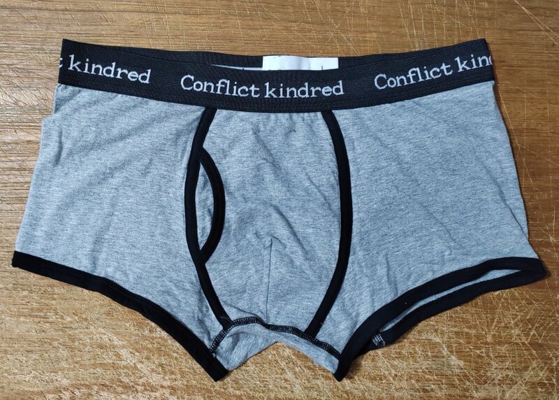 365 boxers & briefs Men underpants cotton luxury brand Men's panties fashion boxer shorts mens sale breathable man underwear