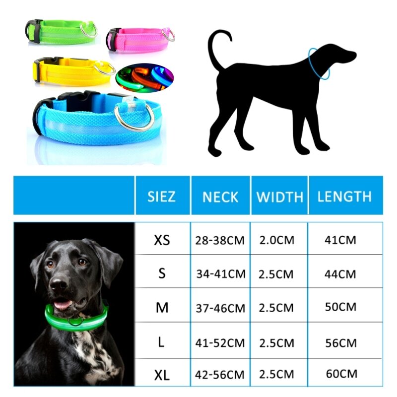 Collare per cani a Led collare anti-smarrimento per cani cuccioli notte forniture luminose prodotti per animali accessori ricarica/batteria USB
