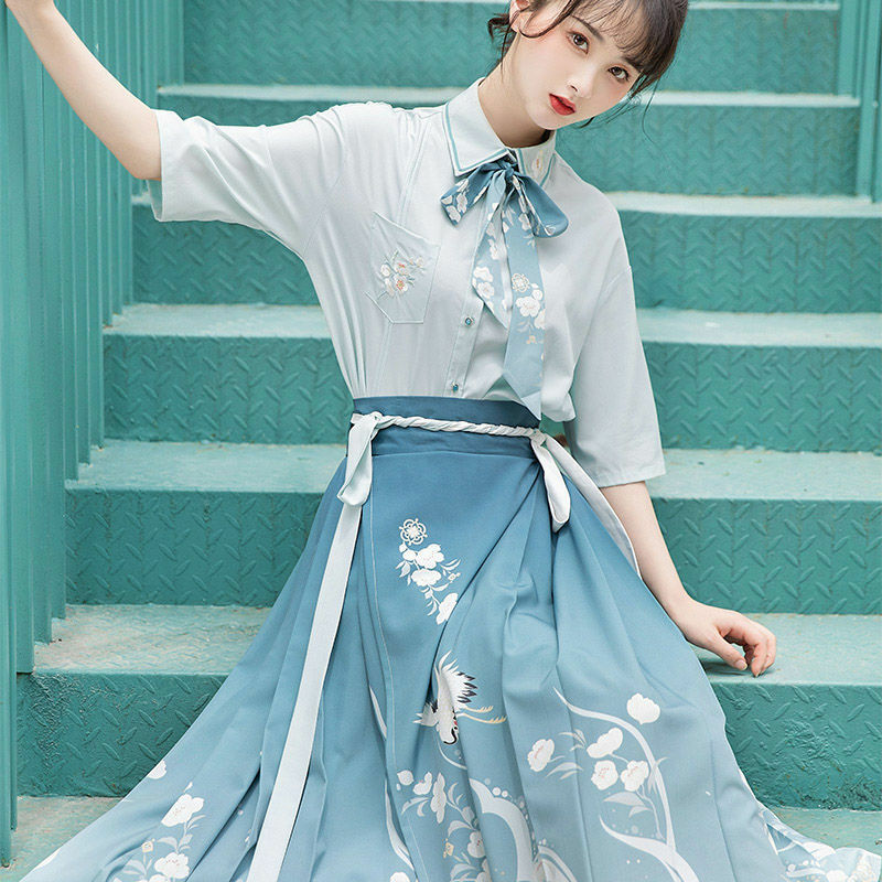 한푸 오리지널 중국 명나라 여성 전통 드레스, 자수 스커트, 데일리 말 얼굴 포니 스커트
