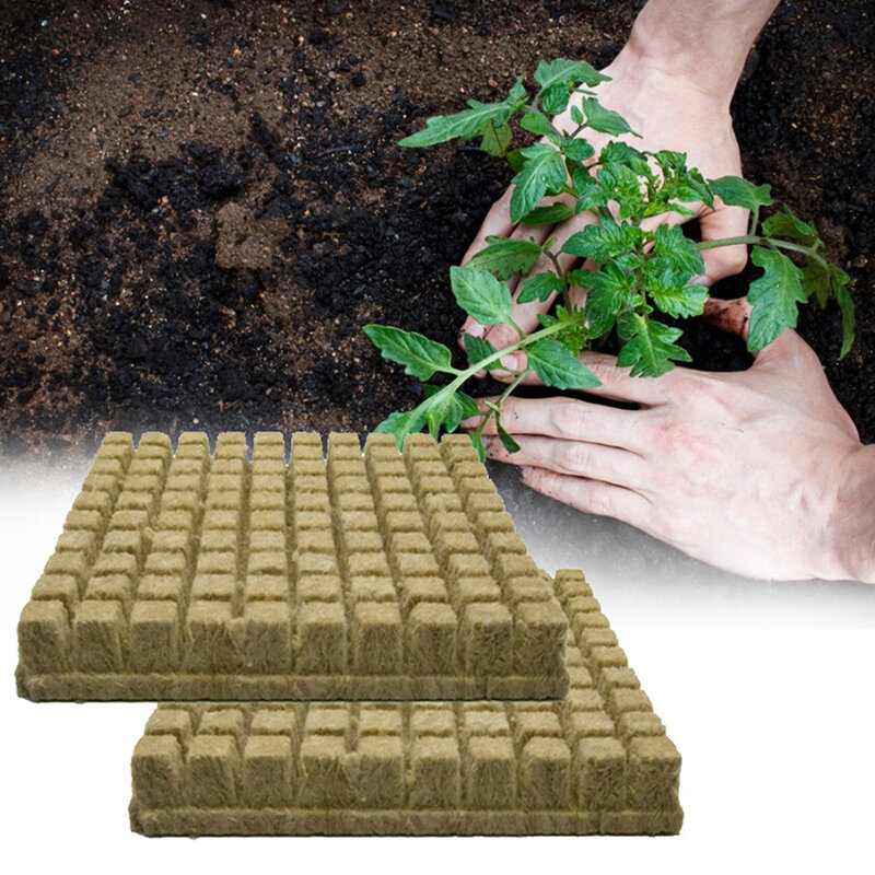 50 buah 25x25x25mm stonwool tumbuh kotak Media kubus tanaman Soilless substrat batu wol Plug BLOK bibit