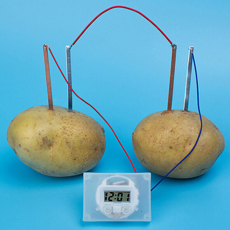 어린이 바이오 에너지 과학 키트, 재미있는 감자 공급 전기 실험 완구, 현실적인 완구, 1 개