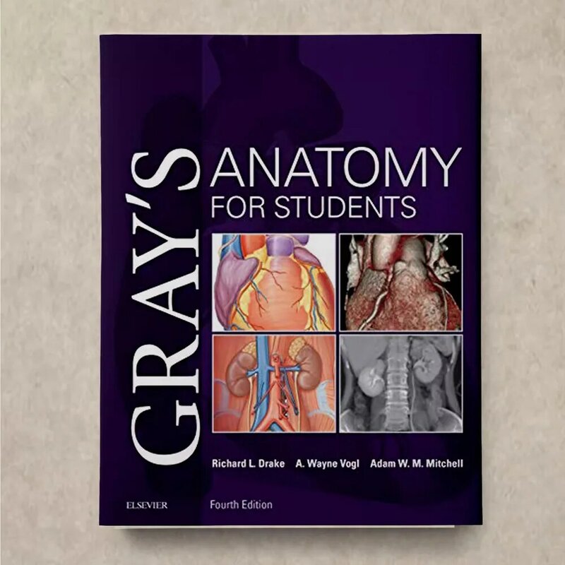 Gray's Anatomy For Students 4th