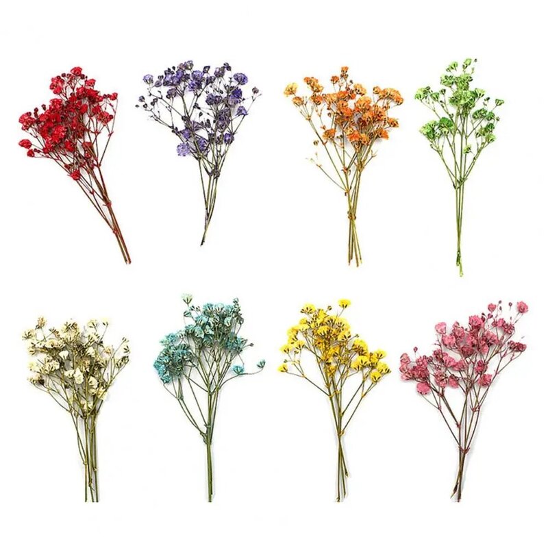 Buquês coloridos Gypsophila secos, flor realista, buquês de moda, 12pcs