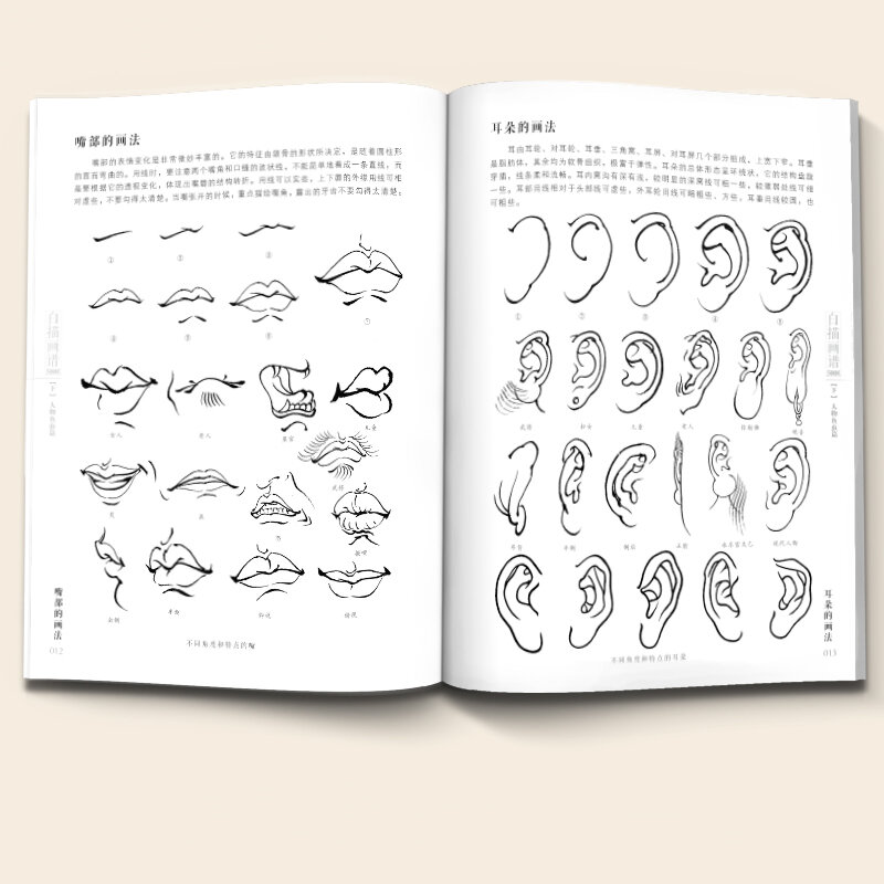 꽃 새 선 그리기 교과서 중국어 회화 색칠하기 책 항목에서 마스터 문자 동물 기법 Atlas 묘사