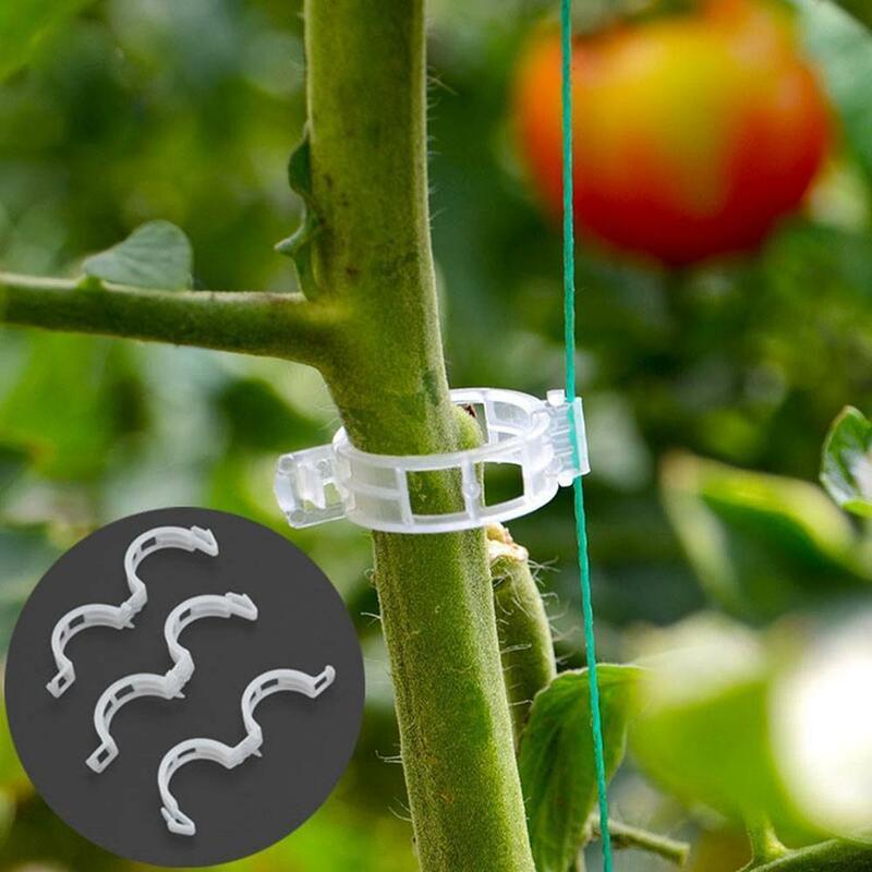 1-50 buah klip tanaman plastik mendukung untuk sayuran tomat perlindungan dapat digunakan kembali mencangkok memperbaiki alat berkebun