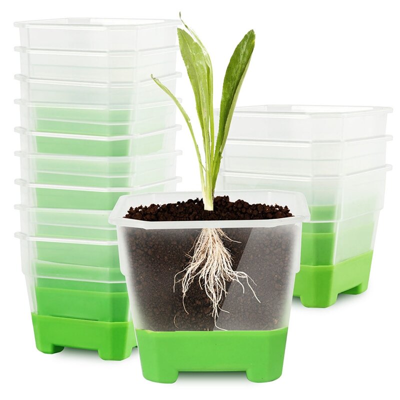 Macetas de vivero transparentes con Base de silicona para un fácil trasplante, maceta de plantas de plástico transparente, Base de silicona verde, 30 paquetes