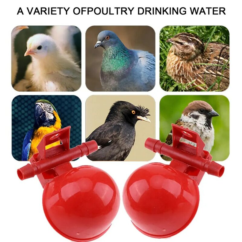 2024 New Automatic Chicken Water Cup Bird Coop Water Drinking Cups Feed Automatic Poultry Chicken Fowl Drinker Chicken Equipment