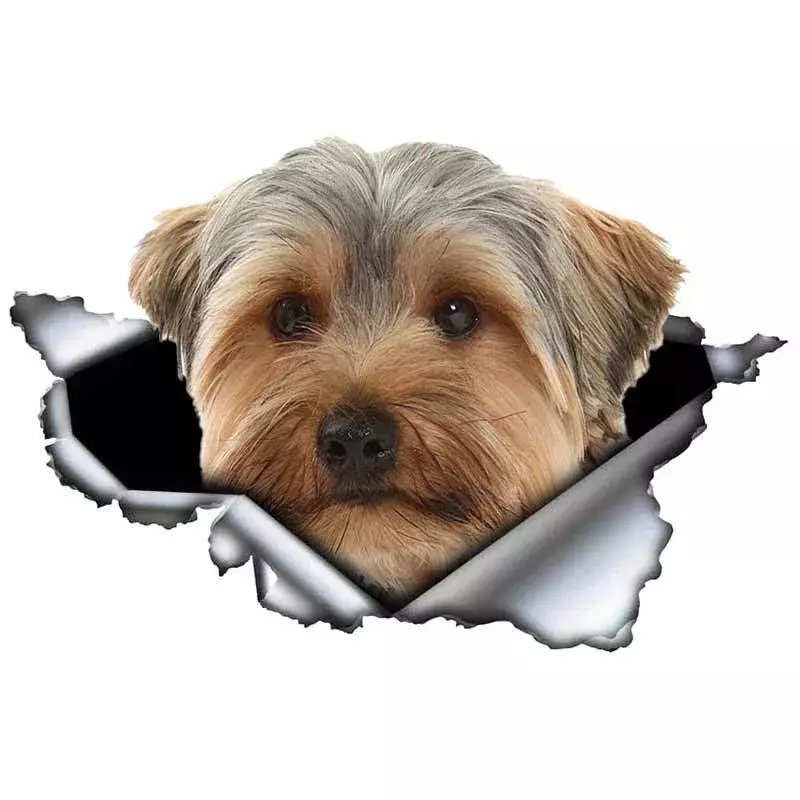 สติกเกอร์ติดรถแบบใหม่สติกเกอร์ตกแต่งส่วนบุคคลรูปสุนัขสัตว์เลี้ยง Yorkshire Terrier สติ๊กเกอร์ติดรถรูปสัตว์กันชนหน้าต่าง