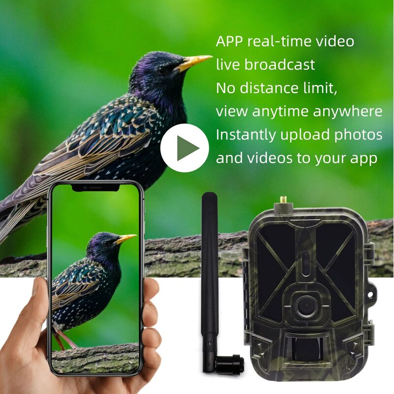 4K 36MP APP 4G Control Cloud Hunting Camera Outdoor Tracking With AA Battery Night Vision 120° Detection Wildlife Reconnaissance