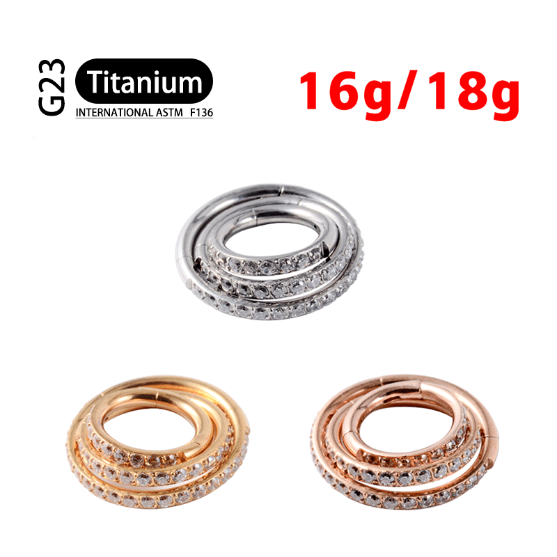 Titanium G23 Earrings Hoop Round Tragus Cartilage Helix Daith Lip Hinged Clicker Segment Ear Nose Ring Body Piercing Jewelry