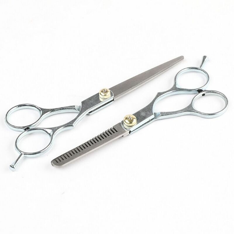 Thinning Hair Cutting Scissors Barber Salon Stainless Steel Barber Scissors 6.0 Inch Silver Hairdressing Shears Barber Shop