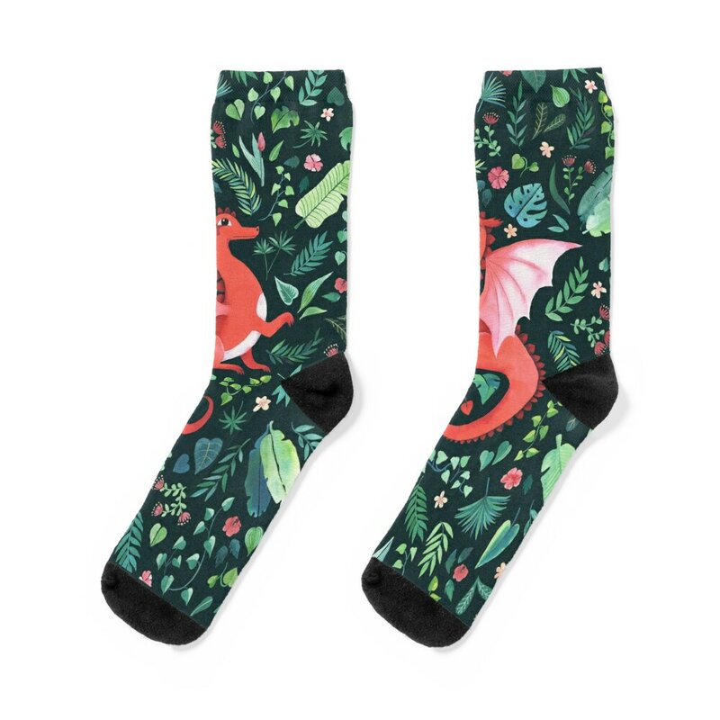 Tropical Dragon Socks essential set cycling gift Men Socks Luxury Brand Women's