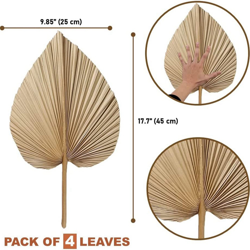4 piezas de hojas de palma secas naturales, perfectas para decoración de hojas de palma, decoración Boho, decoración del hogar, boda