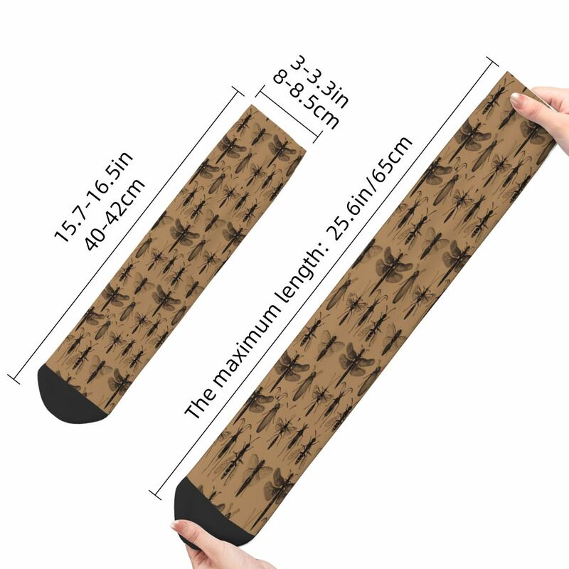 Meias padrão impresso para homens e mulheres, meias para entomologia, cultura, masculino, primavera
