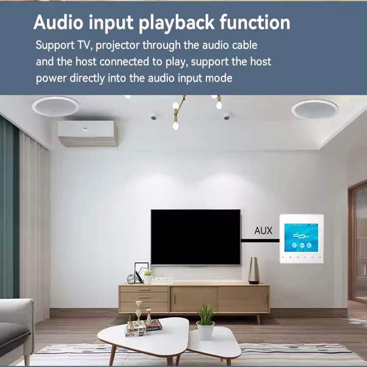 Amplifier Dinding Bluetooth 5.0 kartu TF FM Home Theater Hotel pemutar Audio 2.8 inci tombol sentuh dalam ruangan latar belakang sistem musik-J