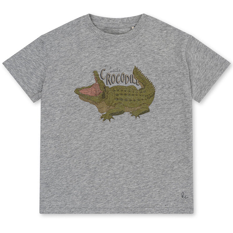T-shirt de manga curta de cisne infantil, roupas infantis KS, terno para meninos e meninas, fundo de gorila, conjunto caseiro, verão, 2024