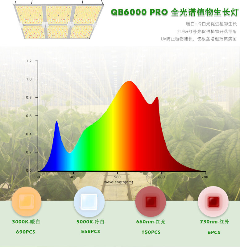 Lampu pertumbuhan tanaman LED 6000W SM LM301B, dengan catu daya MW untuk tanaman pertanian