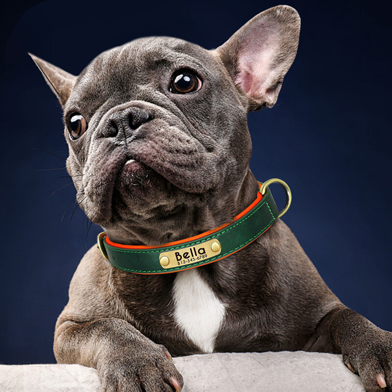 Collar con placa de identificación de cuero personalizado para perros pequeños, medianos y grandes, con relleno suave, nombre grabado gratis, ajustable