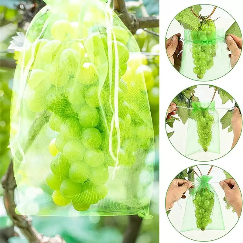 50/100pcs Grape Protection Bag Grow Bag Mesh Fruit Pest Control Products Breathable Gauze Strawberry Seedling Bags Organza