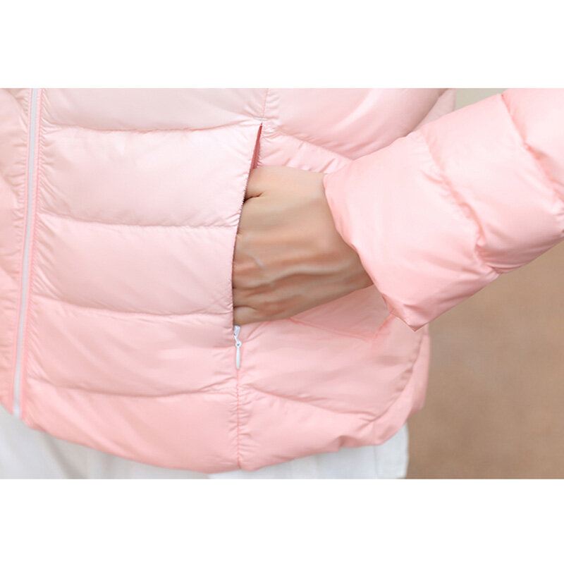 Casual Stand Collar Windproof Jacket Coat women 2023 Autumn Winter Jacket Gradient Color Down Jacket Female