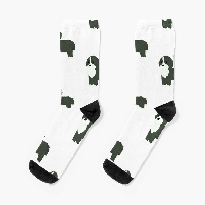 Bernedoodle-Conjunto de calcetines de verano para hombre y mujer, medias de lujo